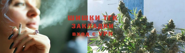 спиды Михайлов