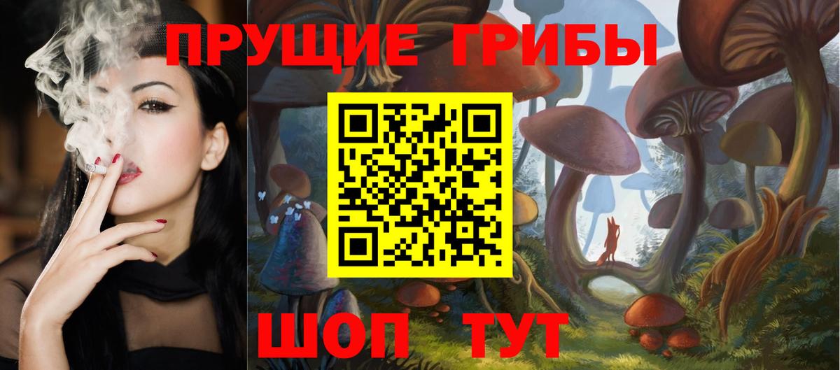 Уфа  Псилоцибиновые грибы Psilocybine cubensis  Вход с VPN 